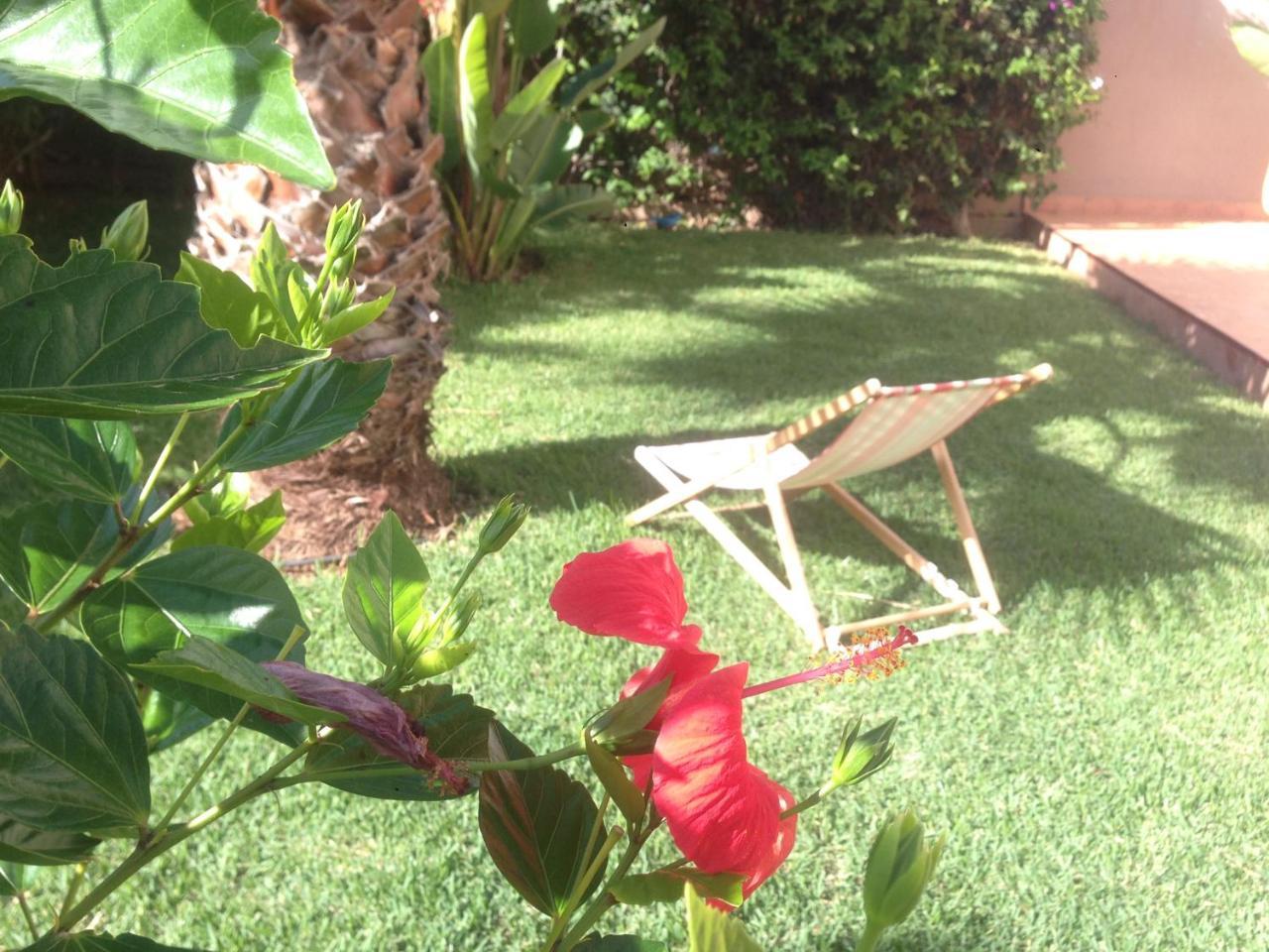 Villa Plage เมียห์เลฟท์ ภายนอก รูปภาพ